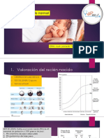 Recien Nacido Sano PDF