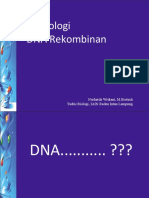 Teknologi DNA Rekombinan