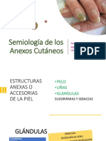 Semiologia Anexos Cutaneos PDF
