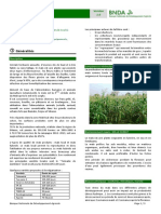 Agricultural Commodity Technical Cards from BNDA_Mais_0.pdf