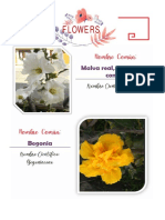 FLORES.pdf