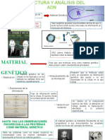 Estructura y Análisis Del Adn