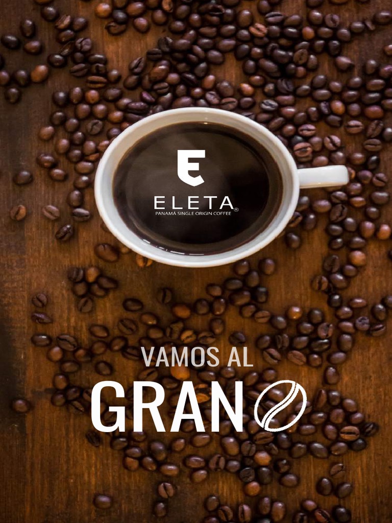 MÉTODO 4:6 para V60. TÉCNICA AVANZADA. Café de especialidad. 