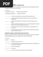 Download AP Coloring Nervous Worksheet pdf by Helen English SN48274323 doc pdf