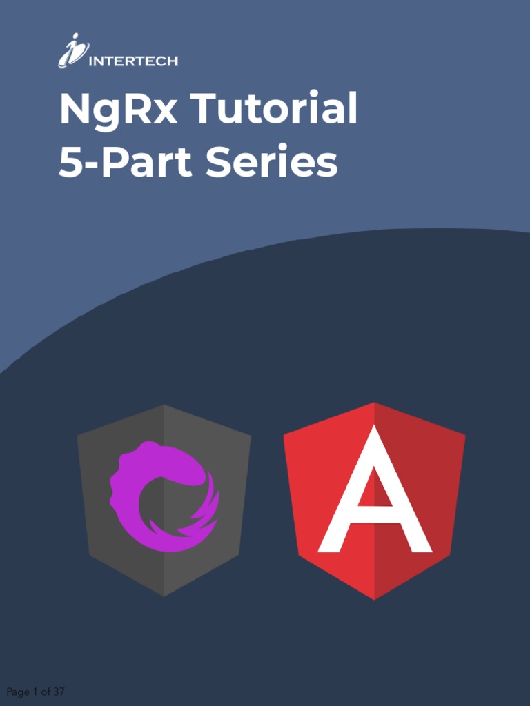 NGRX Tutorial Series PDF Application Programming Interface Unit