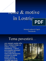 lostrita_teme_motive