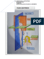 Ficha 12-Planos y Ejes Anatomicos