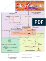 coagpathway.pdf