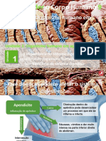 6_equilibrio_digestivo.pptx