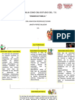 Componentes de La Dinámica Familiar