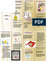 Actividad 2 Plegable.