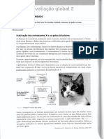 11 Teste avaliação global 2.pdf