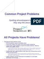 Common_Project_Problems_Presentation