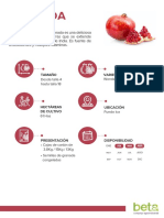 BETA - Ficha Tecnica (Granada) (ES) PDF