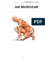 20-Masaje Muscular-Contractras PDF