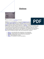 Mudstone: Lyme Regis Sedimentary Rock Clays Muds Grain Size MM Clay Minerals Fissility