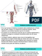 SESION DE APENDIZAJE 4 Cardiovascular UNW - FARMACIA 2020-I