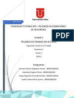 Evidencia Tutoria 5 Cipa 6 Grupo 2 SST TRABAJO EN ALTURAS