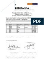 Constancia SCTR - Corregible