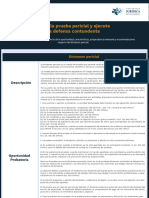 Prueba Pericial PDF