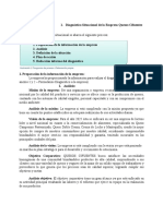 Modelo de Diagnóstico Situacional PDF
