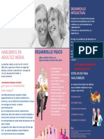 Adultez Media Folleto PDF