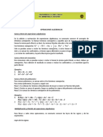 OPERACIONES ALGEBRAICAS.pdf