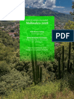 Malinalco Diagnostico 2018 Final PDF