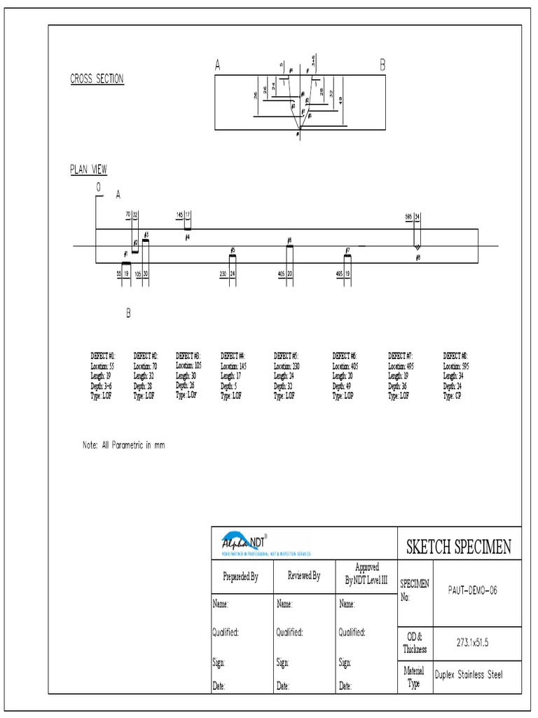 Defect Report for Specimen Analysis | PDF