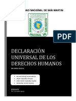 Informe Grupal Declaración Derechos Humanos