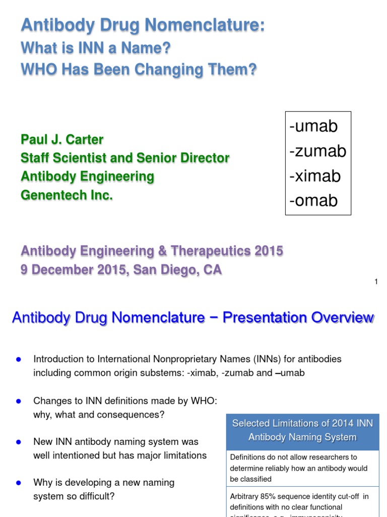 Antibody Nomenclature and INN Changes | PDF | Fusion Protein | Antibody