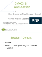 CMAC121 Point Location: Session 7 Hand Shao Yang (Triple Energizer) Channel