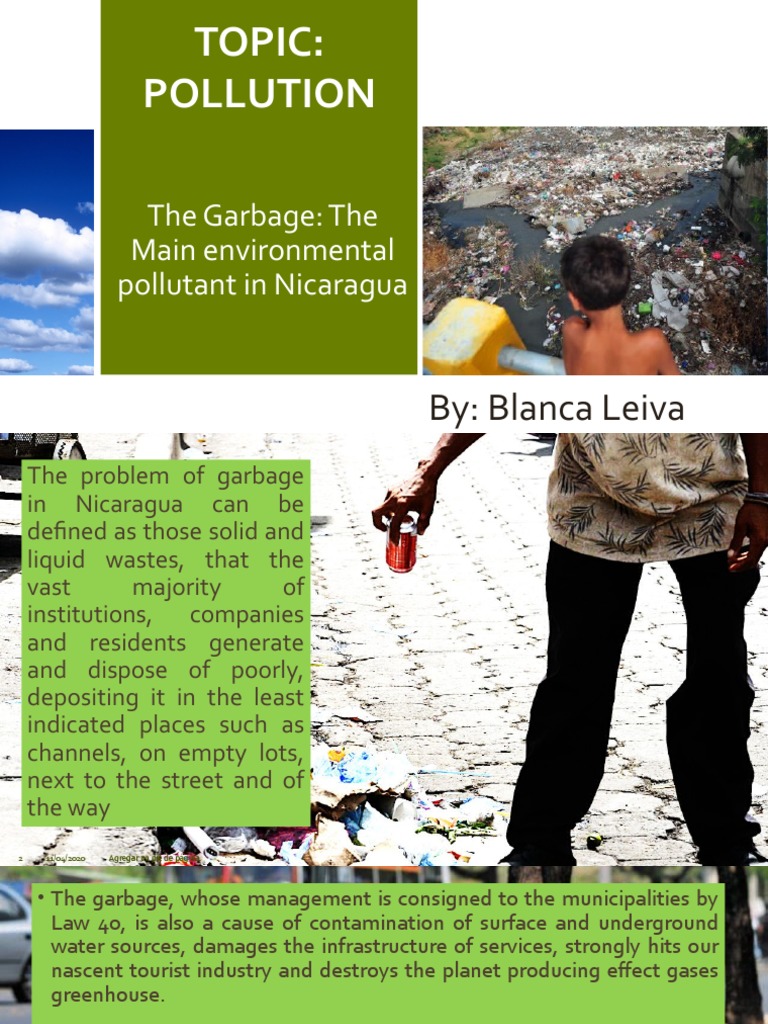 Topic: Pollution: The Garbage: The Main Environmental Pollutant in ...