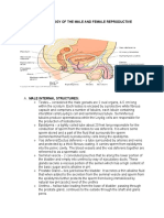 Anatomy & Physiology of The Male and Female Reproductive System