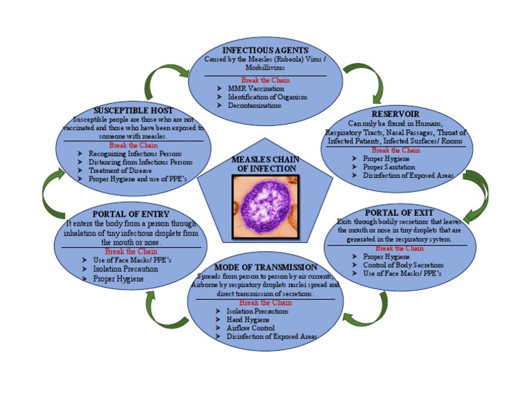 Measles Chain of Infection | PDF | Transmission (Medicine) | Infection