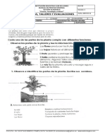 3 Er Taller - Naturales-Plantas-Semana Receso