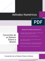 MN T2 PDF
