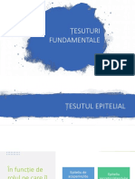 Tesut Epitelial Simplu Si Stratificat LP