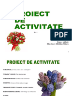 Proiect Didactic - Ala 1