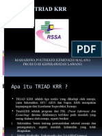 vdocuments.site_triad-krr-55f9d9252884f.pptx