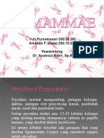 PPT CA Mammae