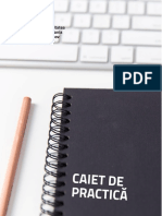 Caiet de Practică Raiffeisen Bank PDF