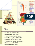 nutrisi dan pencernaan manusia