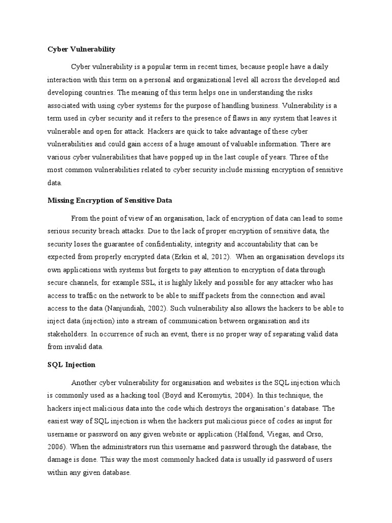 Cyber Vulnerability | PDF | Computer Security | Security