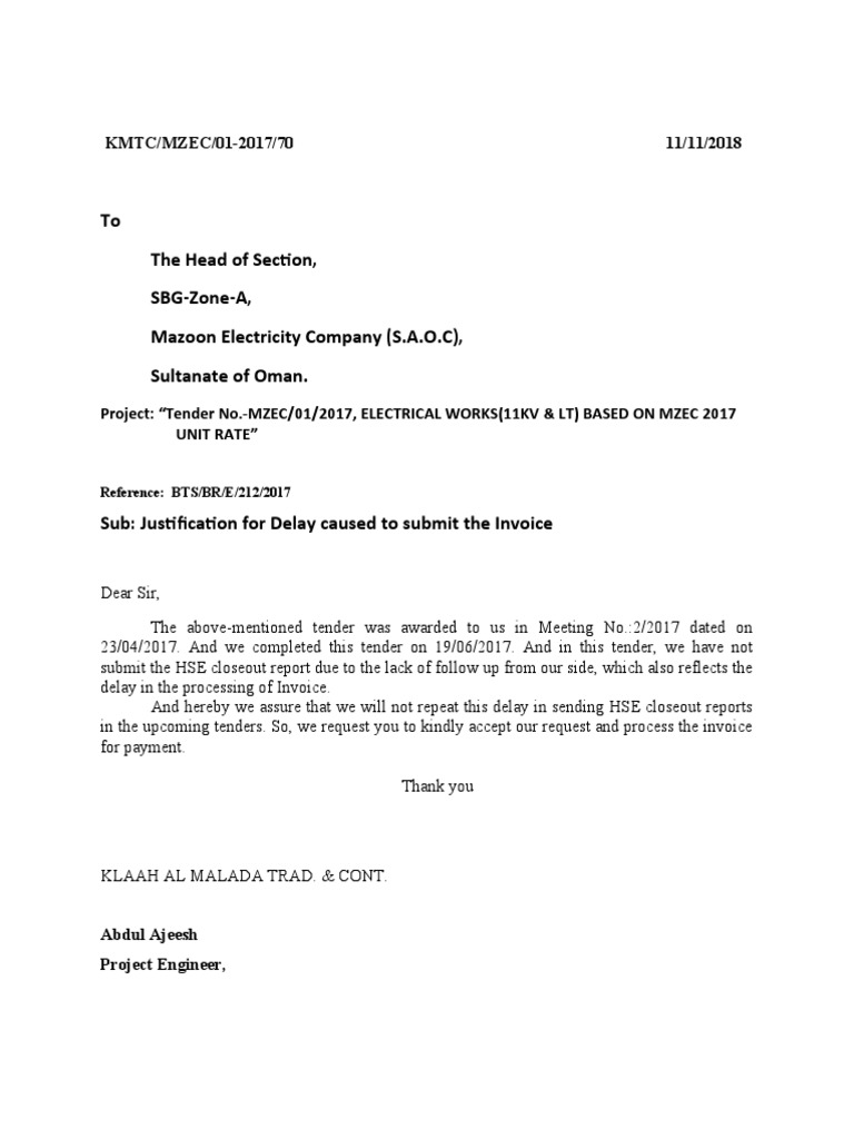 Justification For HSE Report Delay | PDF