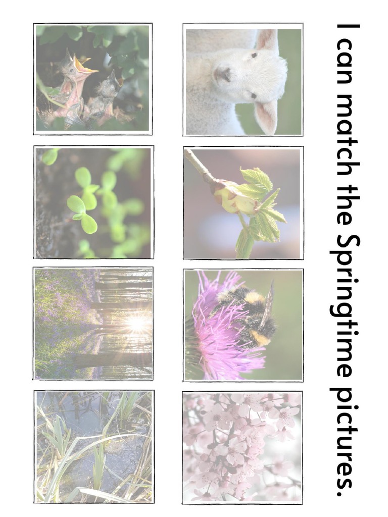 Spring Busy Book Activities | PDF