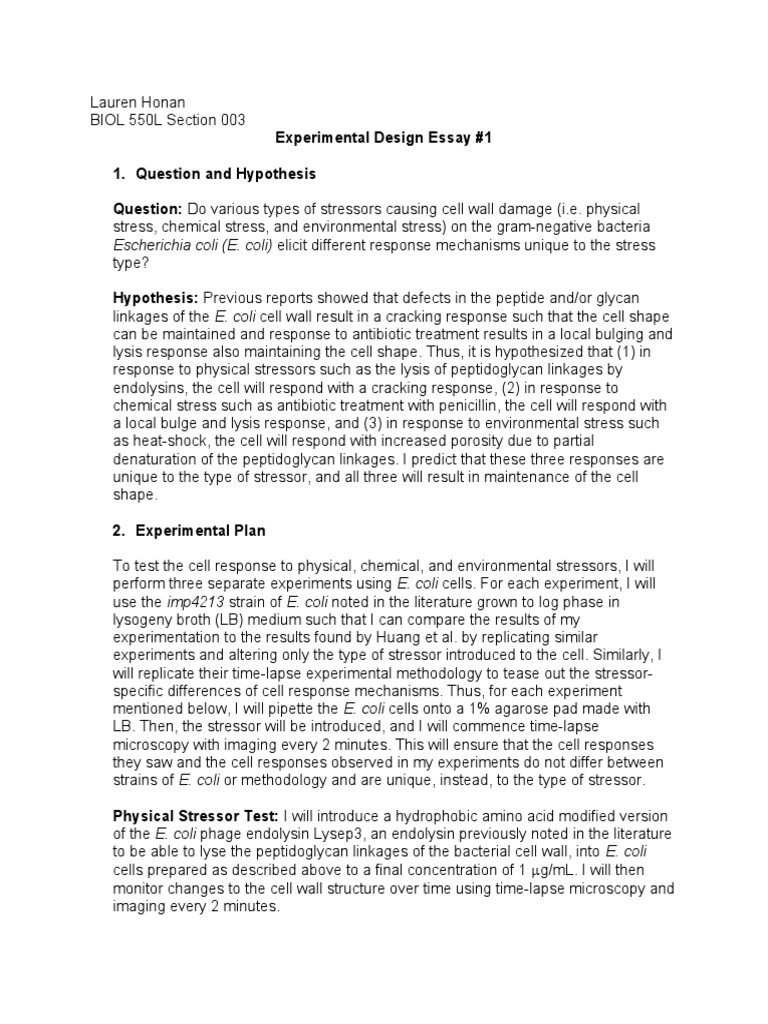 Honan Lauren Experimental Design Essay 1 PDF Lysis Escherichia Coli