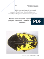 2013, Gymnetis Bonplandii en Perú. Cetoniinae PDF