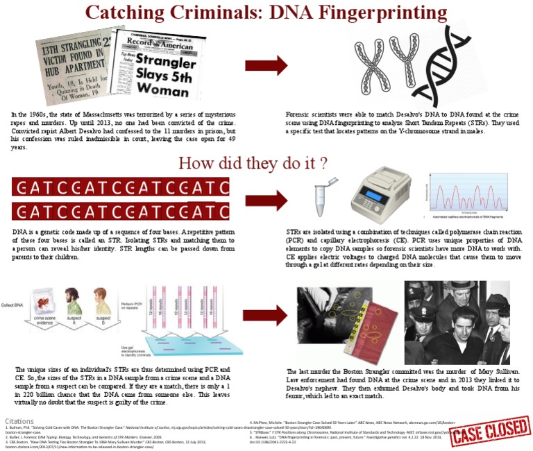 Forensic DNA: Solving Cold Cases | PDF | Dna Profiling | Microsatellite
