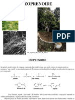 Izoprenoide PDF